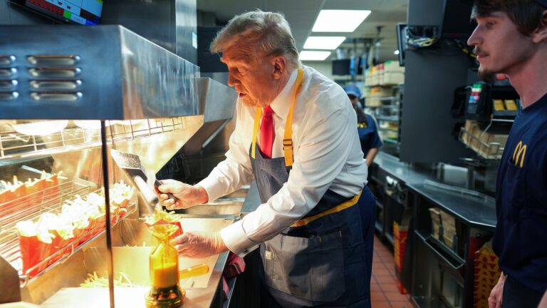 Trump mocks Harris’ story from behind the fryer at McDonald’s