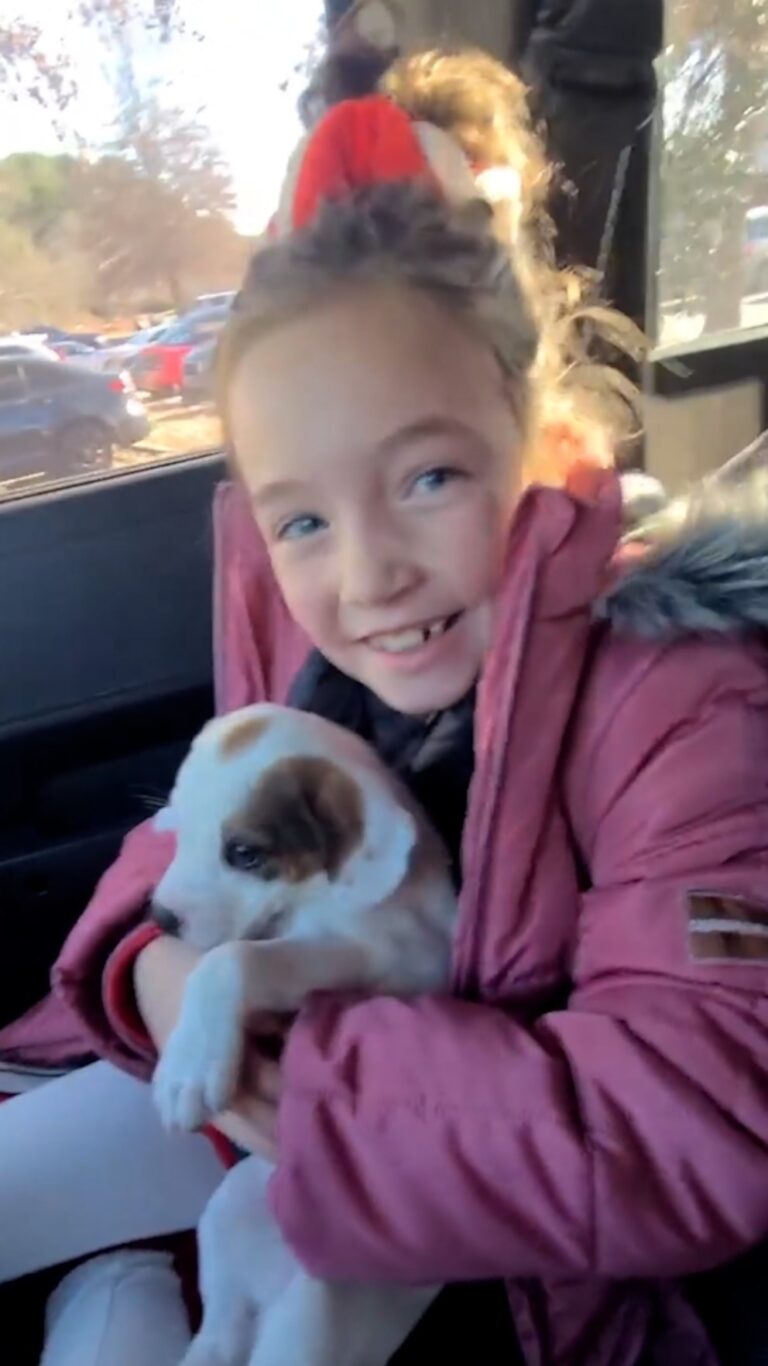 WATCH:  Girl who prayed for a puppy everyday surprised with a new friend