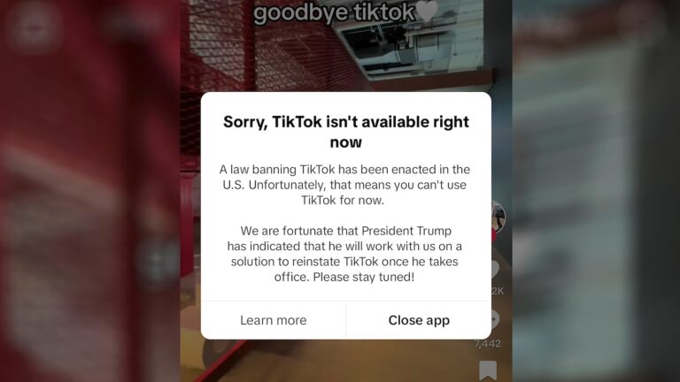 TikTok unavailable in app stores, goes dark for some users ahead of ban