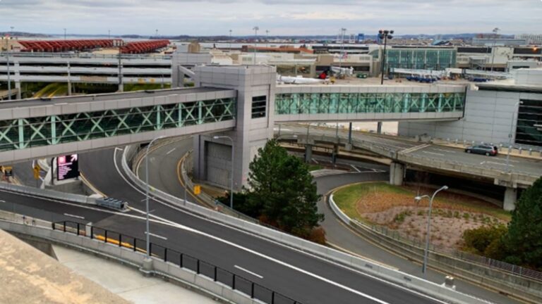 Scorpion stings woman at Boston baggage claim as she picked up luggage after flight from Mexico